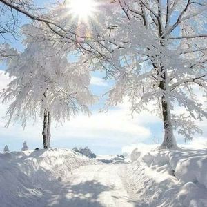 Meet your Posher, Sahar